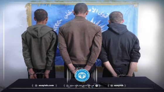 تفكيك شبكة سرقة وإلقاء القبض على ثلاثة من أفرادها في مقاطعة الرقة | Toreke diziyê li kantona Reqayê hate têkbirin û 3 endamên wê hatin girtin